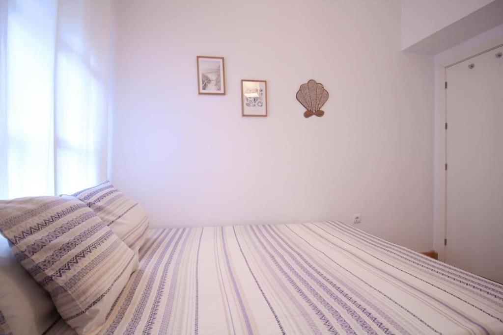 Centro- Sol - Mascotas Bienvenidas Sevilla
